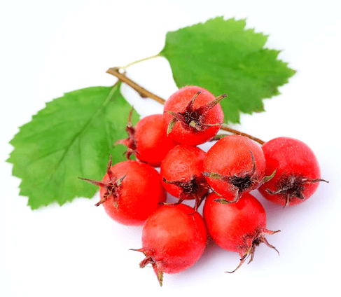 Hawthorn Tonerinis