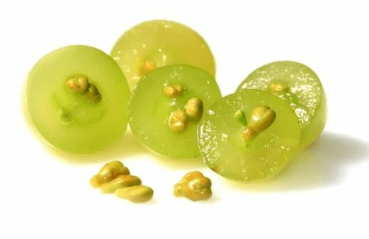 viinamarjaseemneõli tooniinis